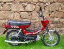 HERO PUCH AUTOMATIC 49